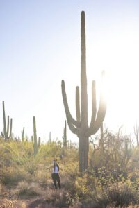 Photo by Royce Fonseca on Unsplash