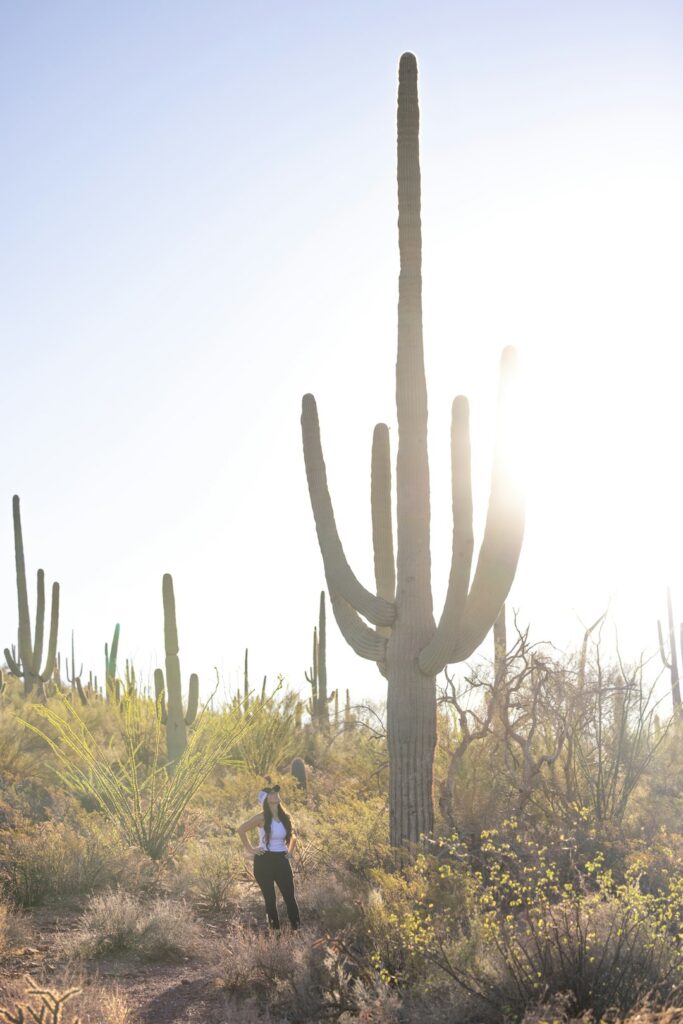 Photo by Royce Fonseca on Unsplash