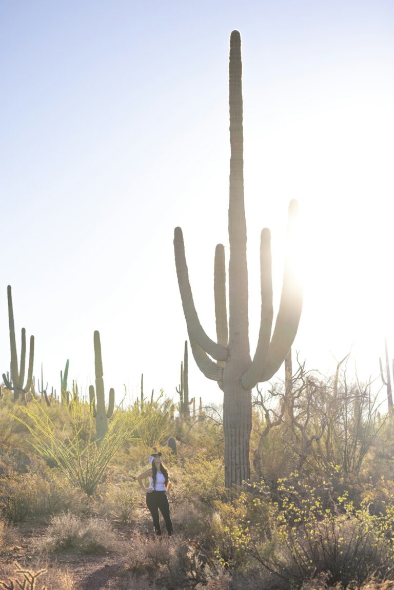 Photo by Royce Fonseca on Unsplash